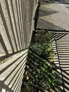 Shadow patterns of sunlit fences Stock Photos
