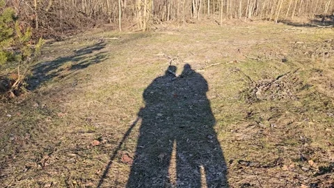 Shadow of People in Nature Stock Footage 299347135