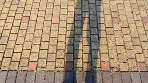 The shadow of people walking.on paving block road on sunny day Stock Footage 288268670