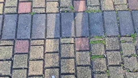 The shadow of people walking.on paving block road on sunny day Stock Footage 288268695