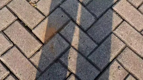 The shadow of people walking.on paving block road on sunny day Stock Footage 288268746
