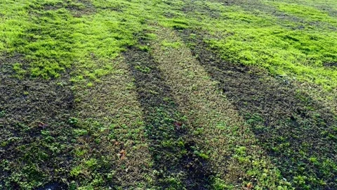 Shadow of a Person on the Grass Making Stretching in a Sunny Day Stockbeeldmateriaal 224887553