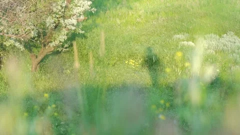 The shadow of person moves against background green grass. Vidéo 155863345