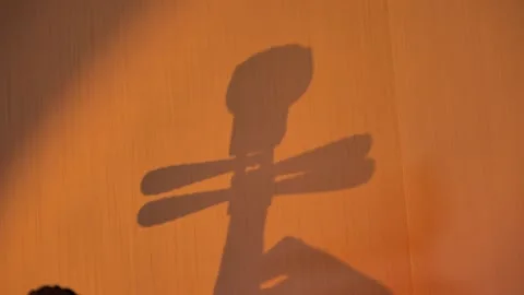 A shadow of person playing pipa instrument Stock Footage 313850394