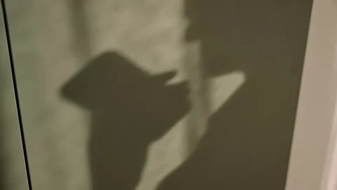Shadow of person recording voice message on smartphone or making phone call Video stock 345027761