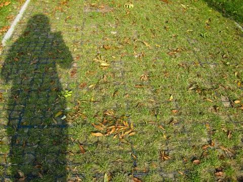 The shadow of a person is reflected on the ecological parking Stock Photos