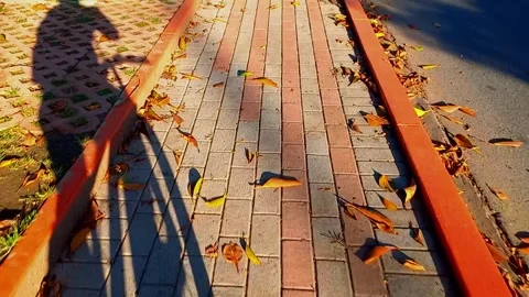 Shadow of a person riding a bicycle, Point of view of a person riding a bicycle  Stock Footage 307646498