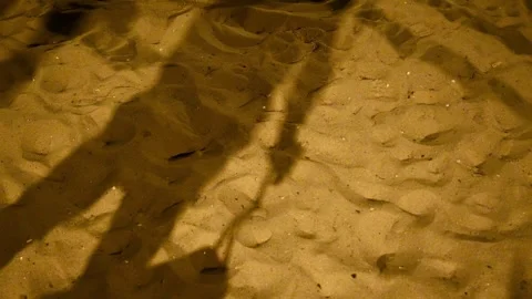Shadow of a person swinging on sandy beach at night Stock Footage 339346956