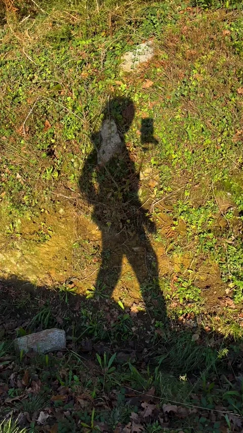Shadow of a person walking Stock Footage 263852801
