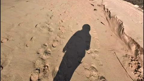 Shadow of person walking on sandy beach by ocean waves Stock Footage 331308983