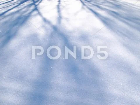 Shadow Stock Photos