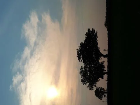 Shadow Fotos de archivo