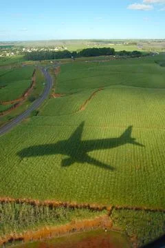 The shadow of the plane on the ground when landing over the jungle Stock Photos