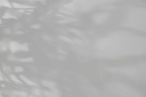 Shadow of plant falling on white wall, space for text Stock Photos