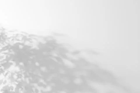 Shadow of plant falling on white wall, space for text Stock Photos