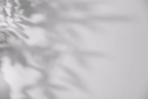 Shadow of plant falling on white wall, space for text Stock Photos