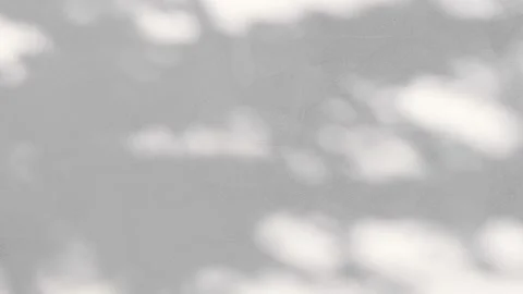 Shadow from a plant on a gray old concrete wall. Video stock 194232909