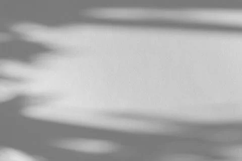 The shadow of the plant on a grey background. Stock Photos
