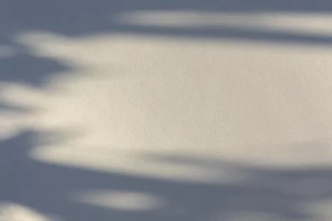 The shadow of the plant on a light background. Stock Photos