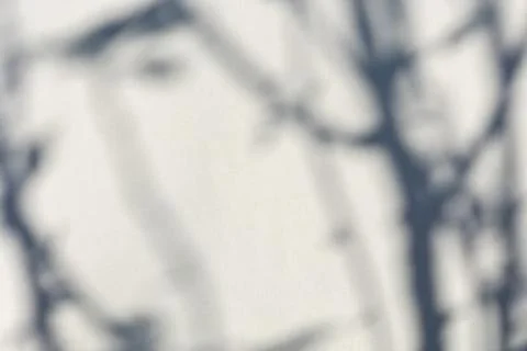 The shadow of the plant on a light background. Stock Photos