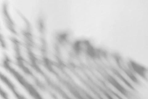 The shadow of the plant on a light background. Stock Photos