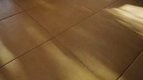 Shadow of plant or tree moving in the wind showing abstract shadow pattern on 库存影片 316043550