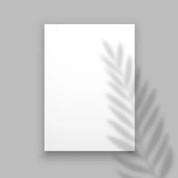 Shadow plant. Overlay palm leaf effect on paper sheet. Summer invitation or card Stock Illustration