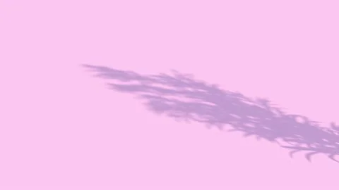 The shadow of a plant on a pink background, swaying in the wind. 3D animation Stock Footage 201858036