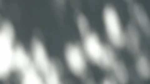 Shadow of a plant on the wall. Blurred Light shadow from a branch of tropical Stock Footage 341388959