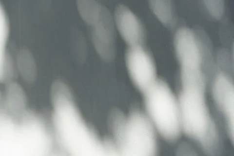 The shadow of a plant on the wall. Blurred Light shadow from a branch of Stock Photos