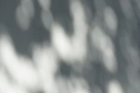 The shadow of a plant on the wall. Blurred Light shadow from a branch of Stock Photos