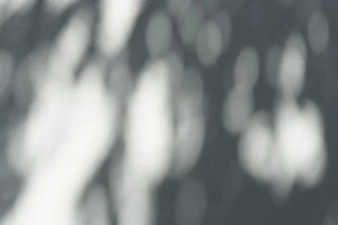 The shadow of a plant on the wall. Blurred Light shadow from a branch of Stock Photos