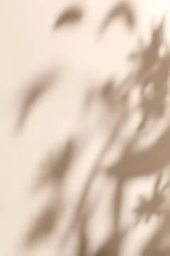 Shadow of plants on solid beige wall texture background Illustrazione stock