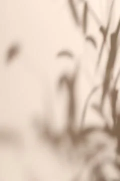 Shadow of plants on solid beige wall texture background Stock Illustration