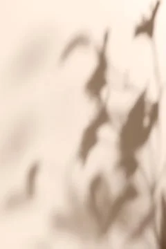 Shadow of plants on solid beige wall texture background Stock Photos