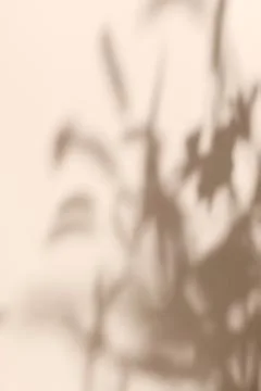 Shadow of plants on solid beige wall texture background Foto stock