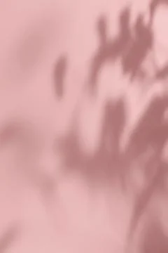 Shadow of plants on solid pink wall texture background Stockfoto's