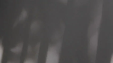 Shadow play and soft light texture 4 Stock Footage 38889278