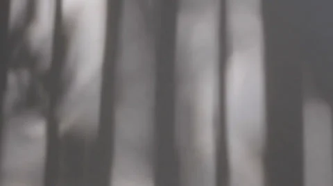 Shadow play and soft light texture 3 Stock Footage 38889281