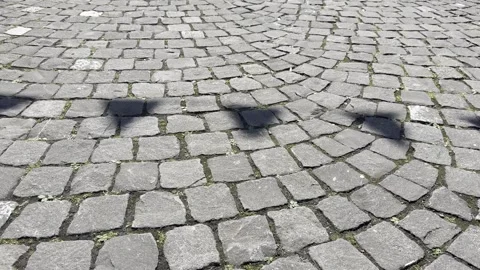 Shadow Play Background on Cobblestone, Ideal Overlay Texture for Video Stock Footage 340238462