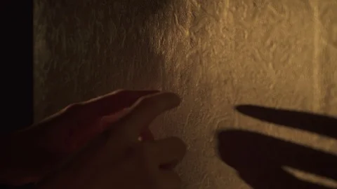 Shadow play. Black shadows of arms, showing on the old wall different figures in 動画素材 100037689