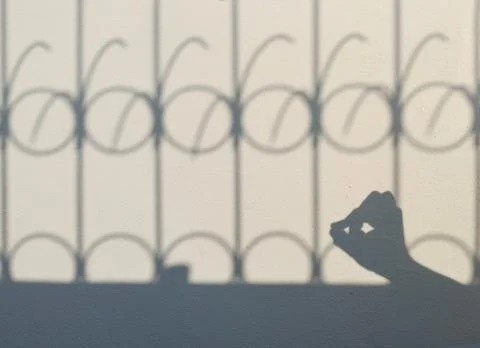 Shadow play on concrete wall in shape of a bird on the fence. Foto stock