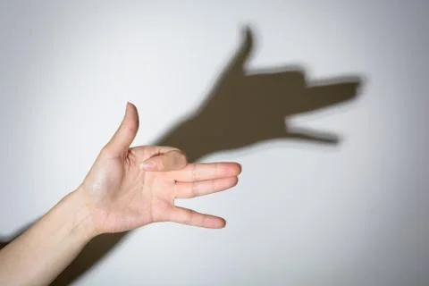 Shadow play dog Stock Photos