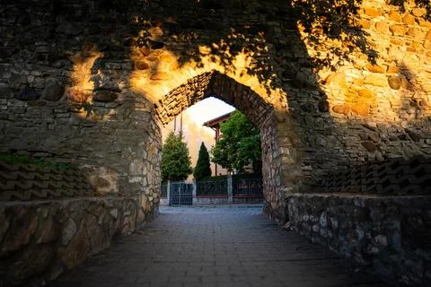 Shadow play of leaves on a stone wall with an arched Gothic passage 库存照片