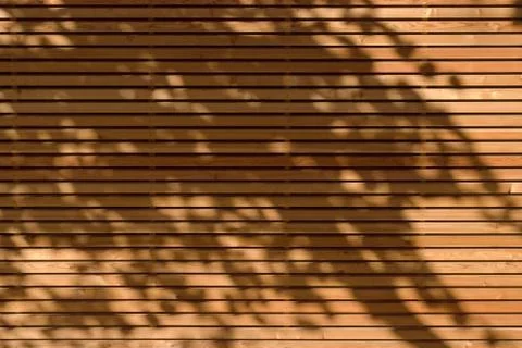 Shadow play Foto stock