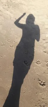 Shadow Play Fotos Stock