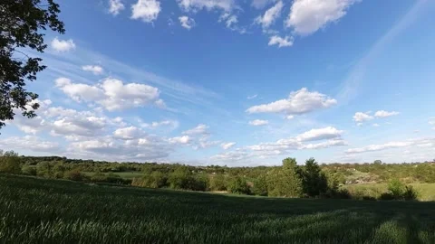 Shadow Play On The Windy Field Stockbeeldmateriaal 195980387