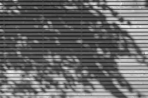 Shadow play2 Stock Photos