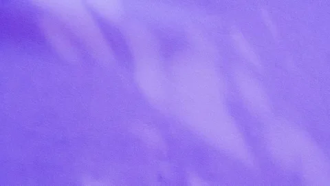 Shadow on purple fabric background overlay abstract plant 4k backdrop Stock Footage 300066058
