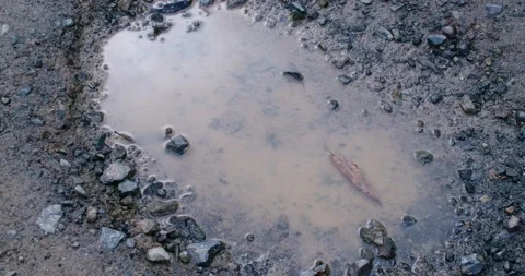 Shadow reflection of a person as they walk by a muddy puddle Stock Footage 162788527